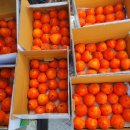 산수골농장 이미지