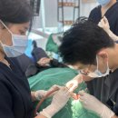 (주)울산응급환자이송단 | 울산사랑니, 발치 후 얼마나 아플까? &lt;의사답변&gt;