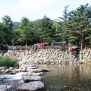 느티나무 캠핑장 이미지