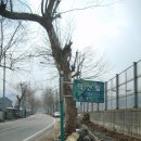 심광사 목조석가모니불좌상 이미지