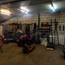 라임나무 이미지