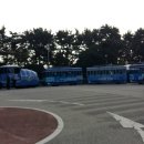 부산 영도 태종대 이미지