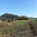 덕천리태양광발전소 이미지