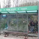 신백의교