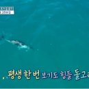 큰집민박 이미지