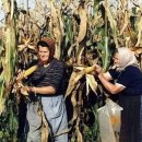 오즈스윗홈 이미지