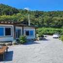 호야 달수 이미지