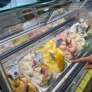 영미산업(주) | 제 15회 부산커피쇼 | 대한민국친환경유기농박람회 | 부산국제식품대전 후기 [관람안내 | 주차]