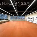 미스터샤크 향동유도짐 이미지
