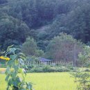 (주)덕해 네이버블로그