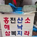 달북초등학교 이미지