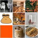 햇빛나눔 | 일상 나눔