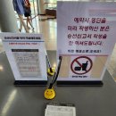 고촌 아라육교(순환도로) | 김포 고촌 아라뱃길 합동 회식으로 아라김포여객터미널 &#39;현대 유람선 디너 불꽃 크루즈&#39; 이용 후기