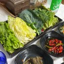 쌈사랑 쌈밥 | 유기농 쌈 채소 전북 고창 맛집 텃밭쌈밥식당