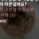 수색동물병원 이미지