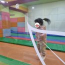 카페송림 이미지