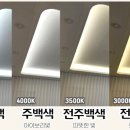 일상푸드 이미지