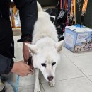 둔촌동물병원 이미지