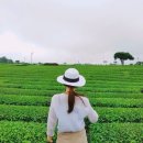 하티 민박 이미지