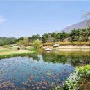 뉴스프링빌2CC 백화산