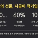 봉화생송이