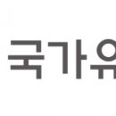 155 이미지