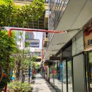 탱고, 아르헨티나 | 아르헨티나 부에노스아이레스 미켈란젤로 탱고 현장 예매 방법 가격 및 후기