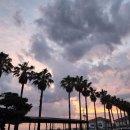 (주)베니키아호텔제주 이미지