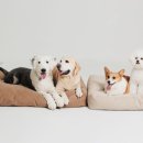 플러스하트 이미지