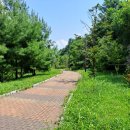 부영공원(월산근린공원) 이미지