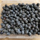 용수골농장 이미지