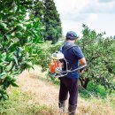 중귤농장 이미지