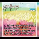 가을이라 가을 바람/동요 이미지