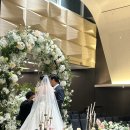 (주)와이제트인터렉티브 | 하나도 안달콤해