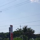 천명 | 광명명태조림전문점 하안동명태조림전문점 매운맛 의 깔끔한 생선명가 검안로거북명태