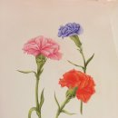 보타니컬아트 (중급) 네이버블로그