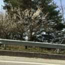 양산한우농장 이미지