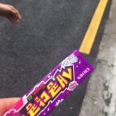 부찌 이미지