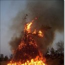 강남동-9 이미지