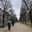 탑매일약국 이미지