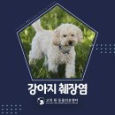 구일동물병원 네이버블로그