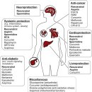 Re: Caloric Restriction Mimetics against Age-Associated Disease - 꼭 읽어 이미지