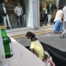 펫소울메이트 이미지