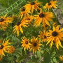 늘편한캠핑장 이미지