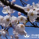 조경설계서림