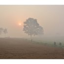 목장의아침 이미지