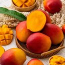 자래리농장 이미지