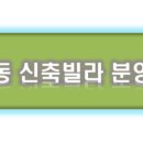 관양중학교_동 이미지