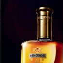 윈저 이미지