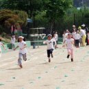 전주양지초등학교 이미지